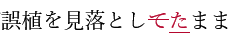 ワードで校閲